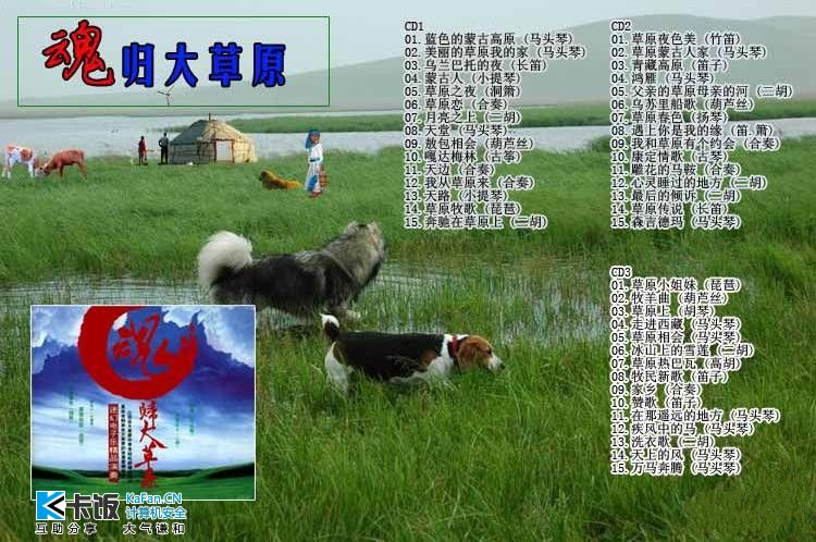 牧羊曲简谱琵琶演奏