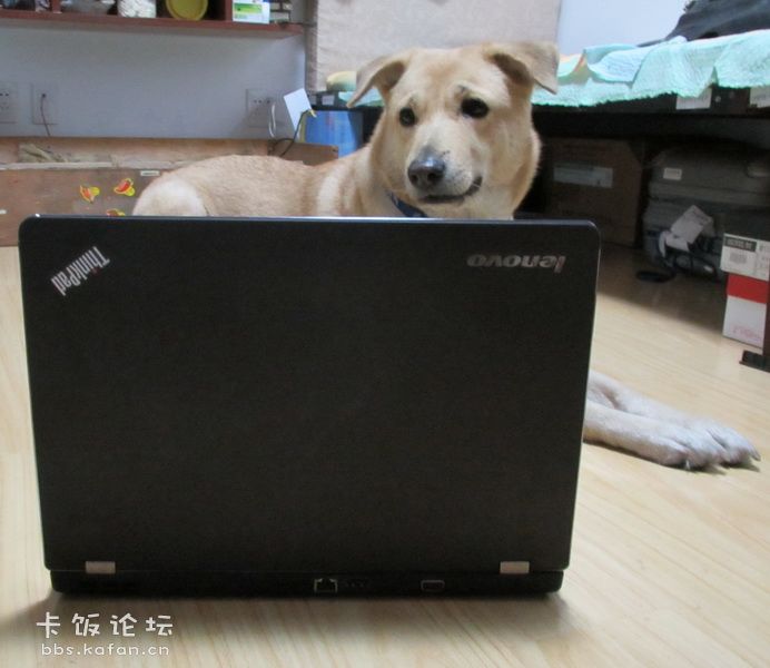 ȭThinkpad